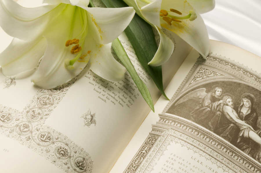 gty0033114403.jpg
